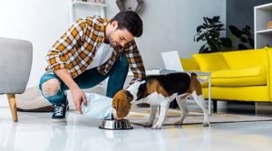 Tips on How to Take Care of Your Pet(s) Properly